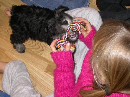 http://snel.se/pixi/upload/041020/12.jpg