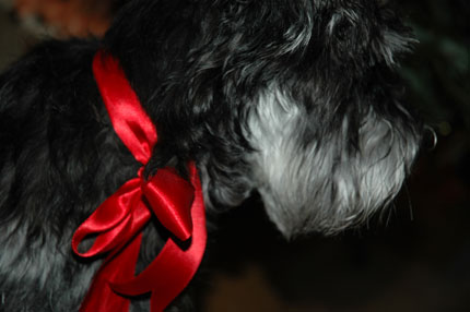 http://snel.se/pixi/upload/DSC_2247.jpg http://snel.se/pixi/upload/DSC_2247.jpg