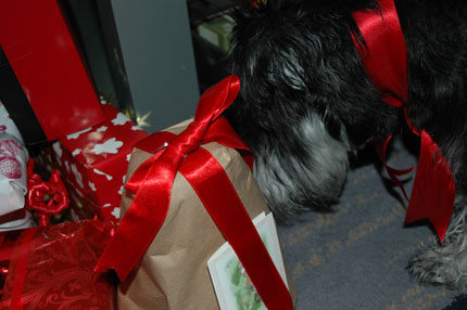 http://snel.se/pixi/upload/DSC_2262.jpg http://snel.se/pixi/upload/DSC_2262.jpg