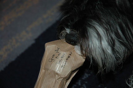 http://snel.se/pixi/upload/DSC_2265.jpg http://snel.se/pixi/upload/DSC_2265.jpg