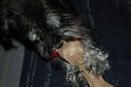http://snel.se/pixi/upload/DSC_2270.jpg http://snel.se/pixi/upload/DSC_2270.jpg