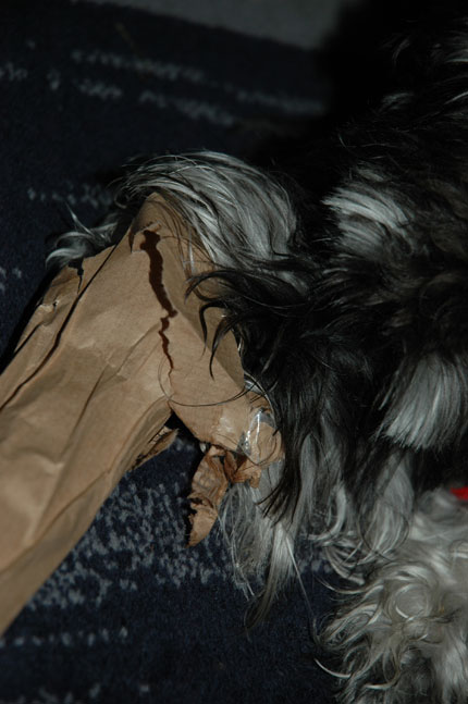 http://snel.se/pixi/upload/DSC_2271.jpg http://snel.se/pixi/upload/DSC_2271.jpg