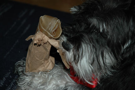 http://snel.se/pixi/upload/DSC_2273.jpg http://snel.se/pixi/upload/DSC_2273.jpg