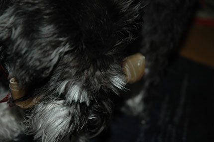 http://snel.se/pixi/upload/DSC_2275.jpg http://snel.se/pixi/upload/DSC_2275.jpg
