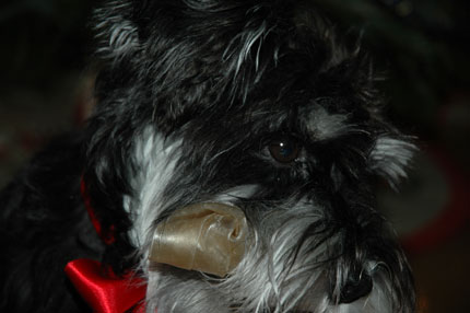 http://snel.se/pixi/upload/DSC_2276.jpg http://snel.se/pixi/upload/DSC_2276.jpg