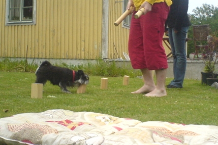 http://snel.se/pixi/upload/kubb.jpg http://snel.se/pixi/upload/kubb.jpg