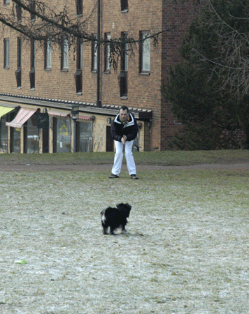 http://snel.se/pixi/upload/olegympa.gif
