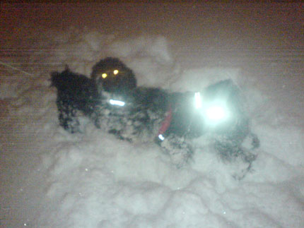 http://snel.se/pixi/upload/snoe1.jpg http://snel.se/pixi/upload/snoe1.jpg