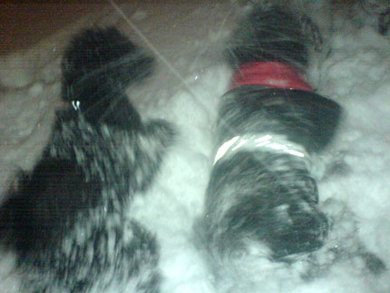 http://snel.se/pixi/upload/snoe3.jpg http://snel.se/pixi/upload/snoe3.jpg