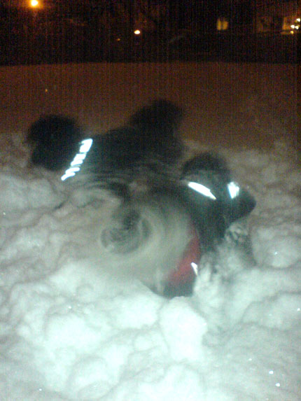 http://snel.se/pixi/upload/snoe4.jpg http://snel.se/pixi/upload/snoe4.jpg